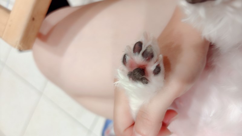 女人知己試用大隊,口碑行銷,部落客行銷,Goodmofamily歸毛家族 寵物肌膚救星組,歸毛家族 寵物肌膚救星,舒敏保濕洗毛乳,護膚噴液,精萃營養霜,博士30年生技專業,給足皮膚營養保護力,無抗生素 無類固醇,神經醯胺,19種綜合胺基酸,榮獲SNQ國家認證,上萬毛爸媽見證,3週幫助皮膚健康,NO.1寵物肌膚口碑霸主,寵物第一護膚領導品牌